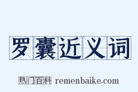 罗囊近义词是什么意思的图片